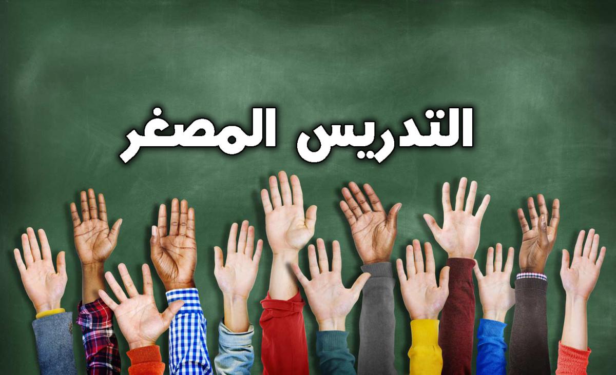 التدريس المصغر