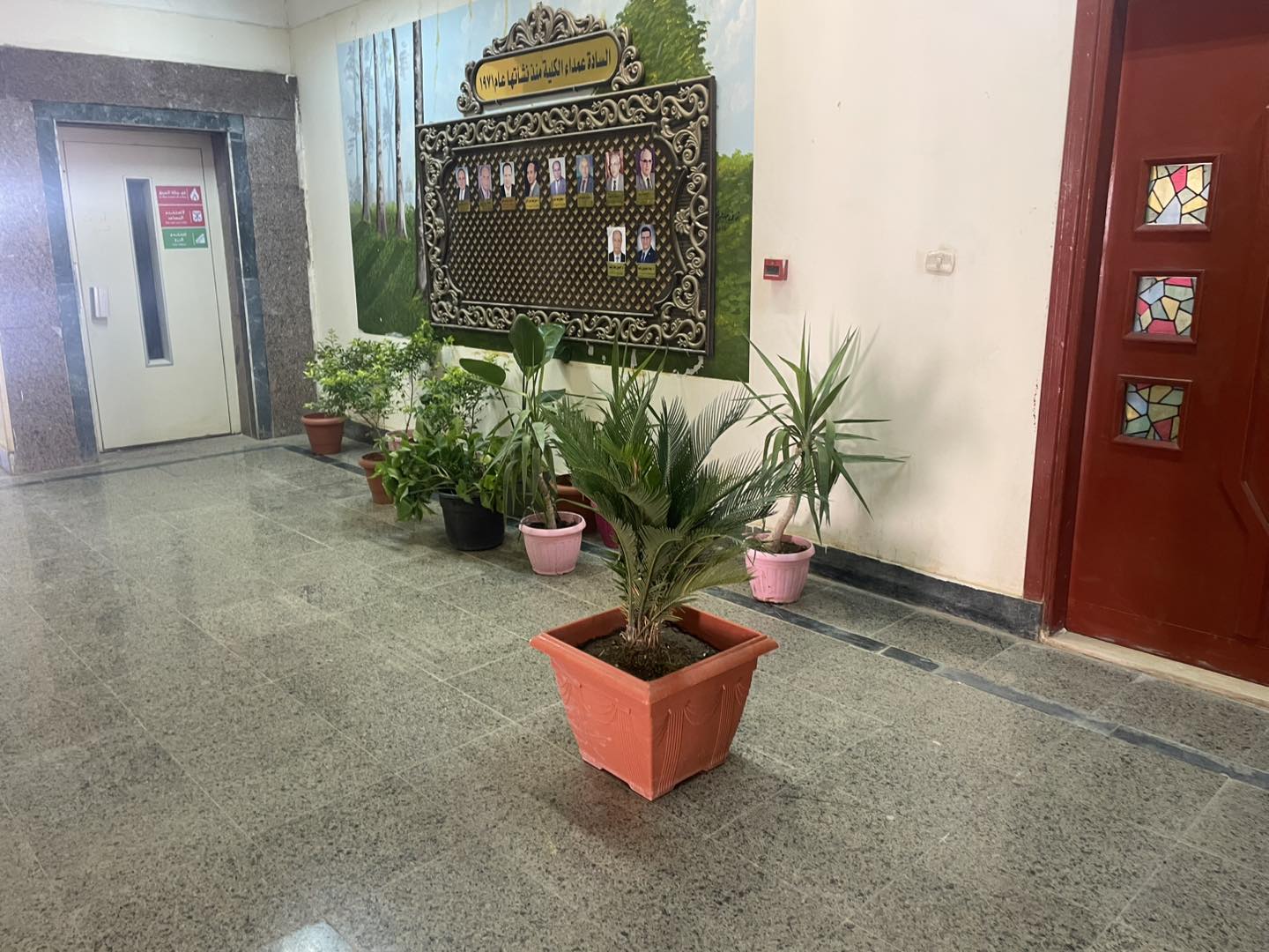 أعمال تجميل وتشجير داخل كلية التربية – جامعة سوهاج