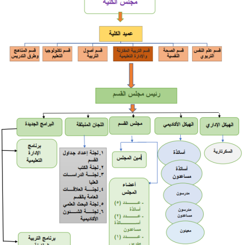 الهيكل-التنظيمي-لقسم-التربية-المقارنة